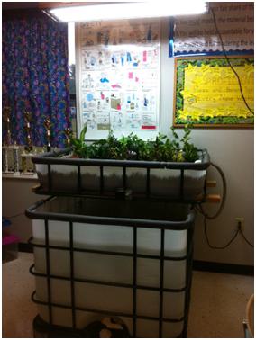 Classroom aquaponics system in Hazen, Arkansas