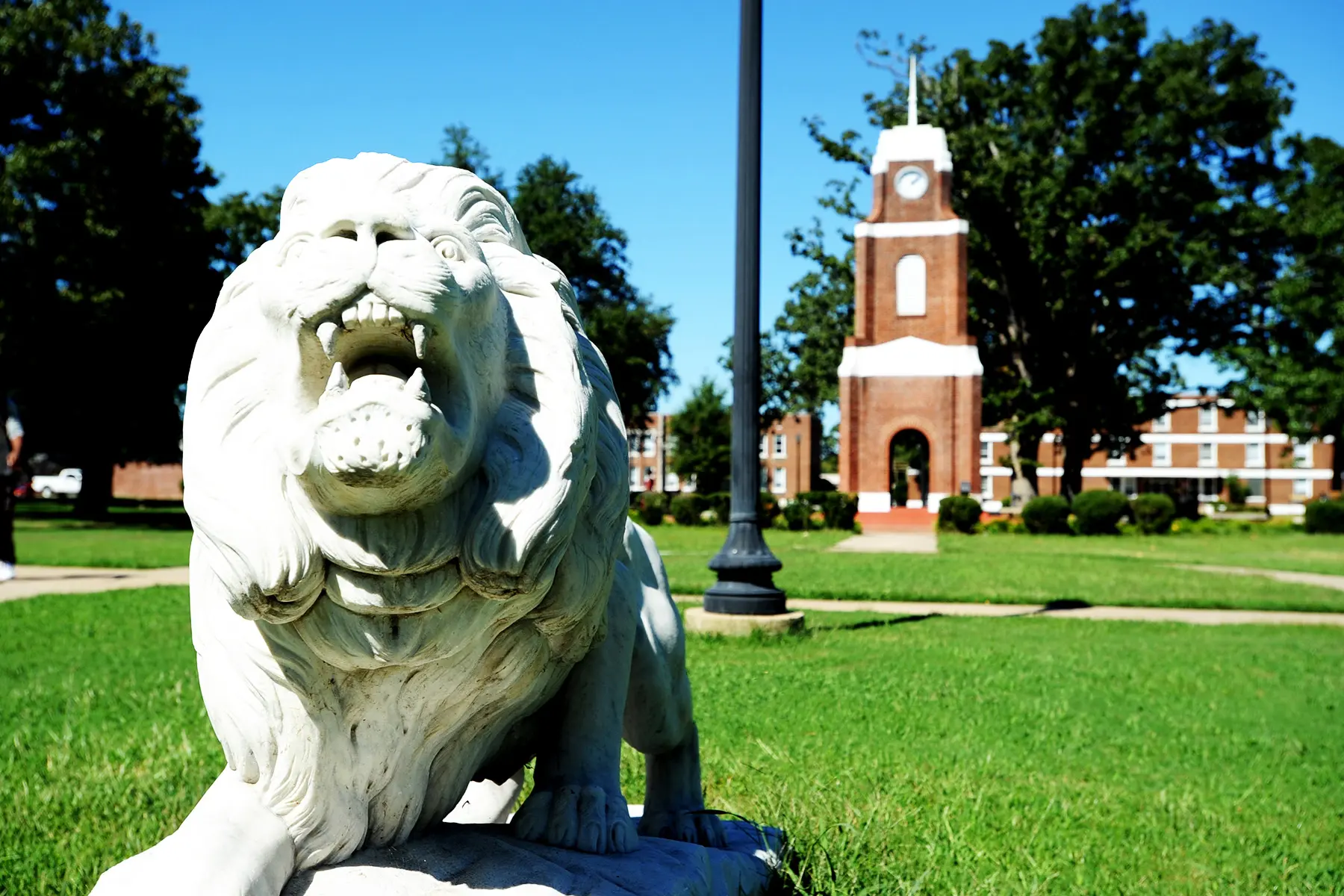 A lion statue on the grass in front of the clock tower